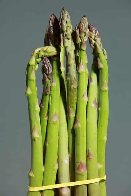 grüner spargel rezept