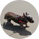 Margit Großerohde profile picture